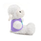 Rocky Buffulo Stuffed Animals with Tee