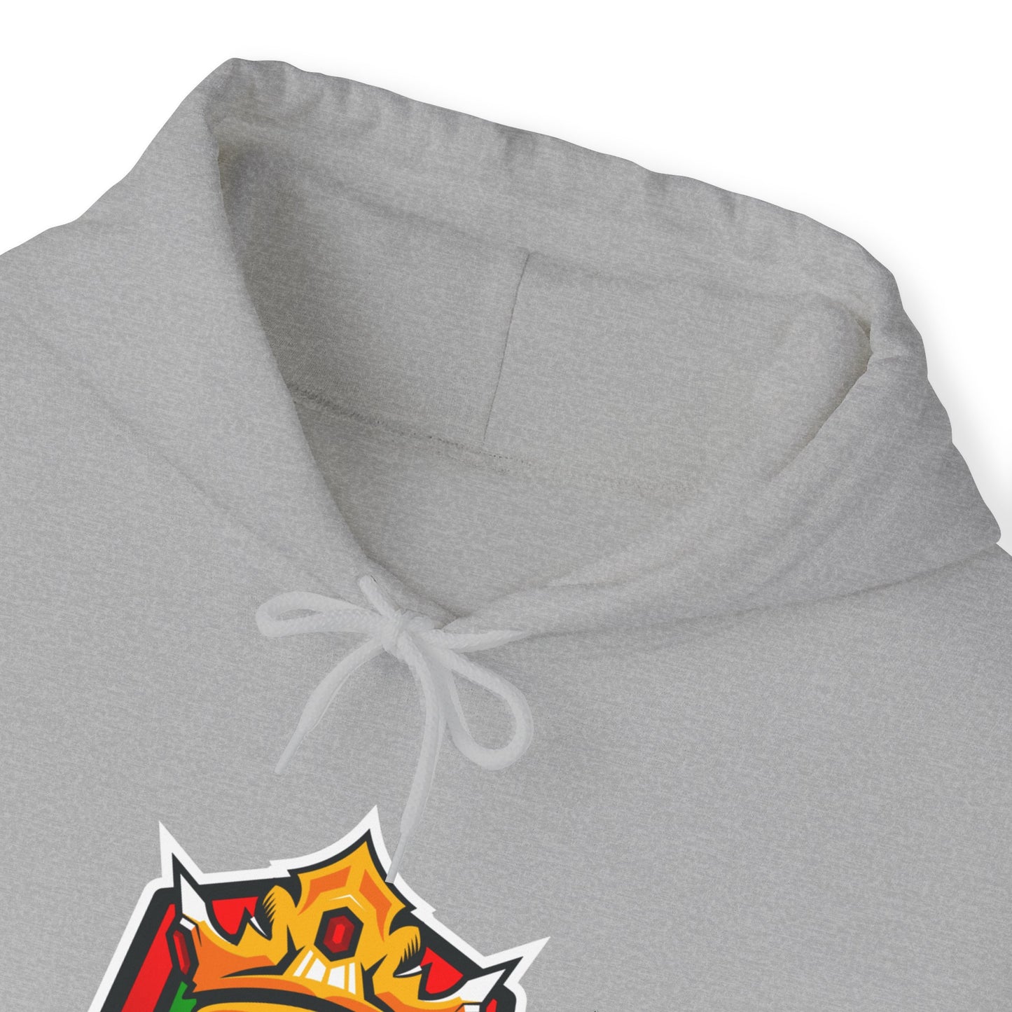 SwatDx Swat's Chaos Chamber Unisex Hoodie