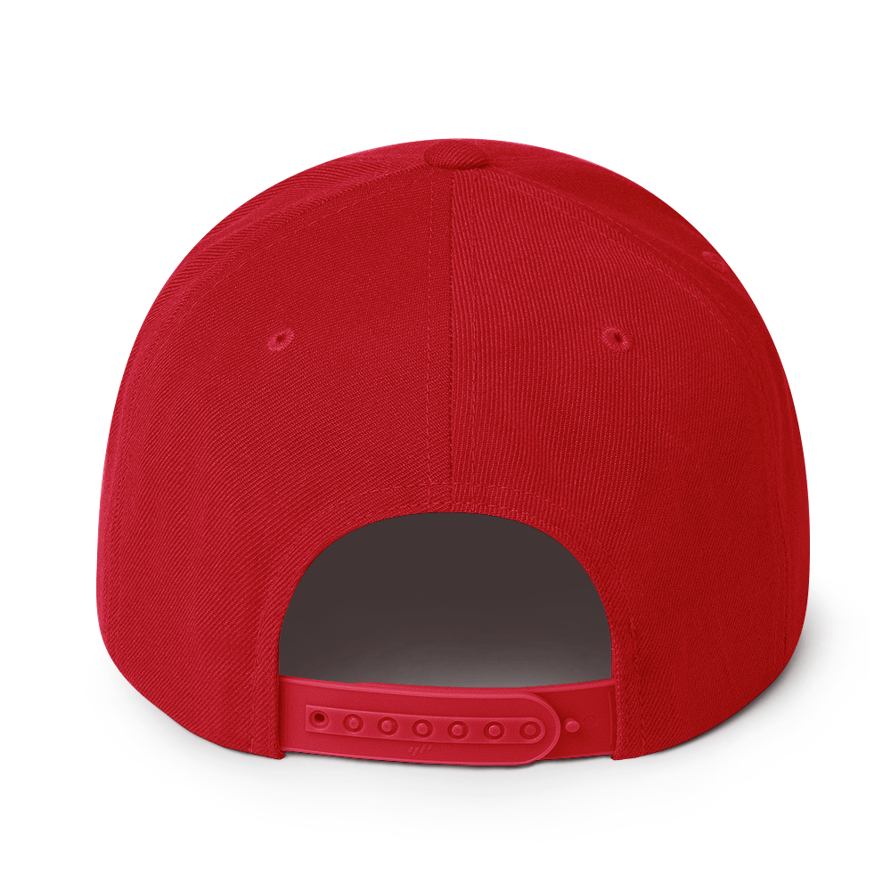 THE FLOCK Snapback Hat