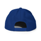 SwatDx Snapback Hat