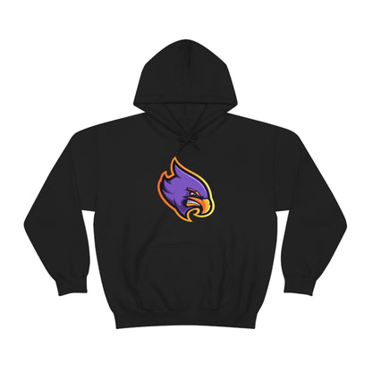 Angry Gaming Unisex Hoodie